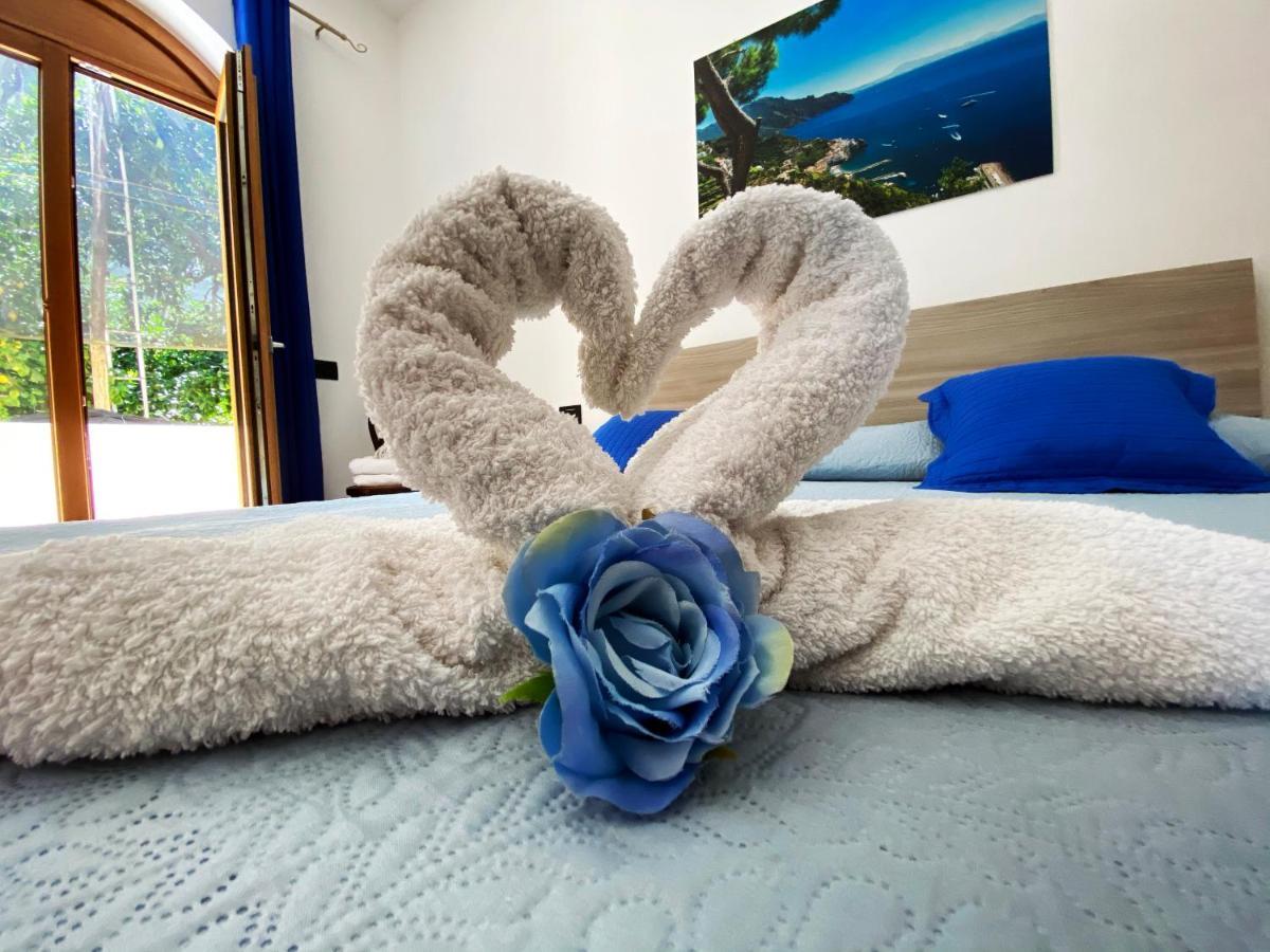 Achille Home B&B Sorrento Eksteriør billede